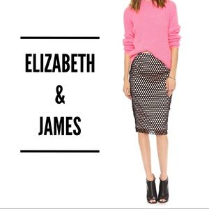 Elizabeth & James Mesh Overlay Pencil Skirt 4